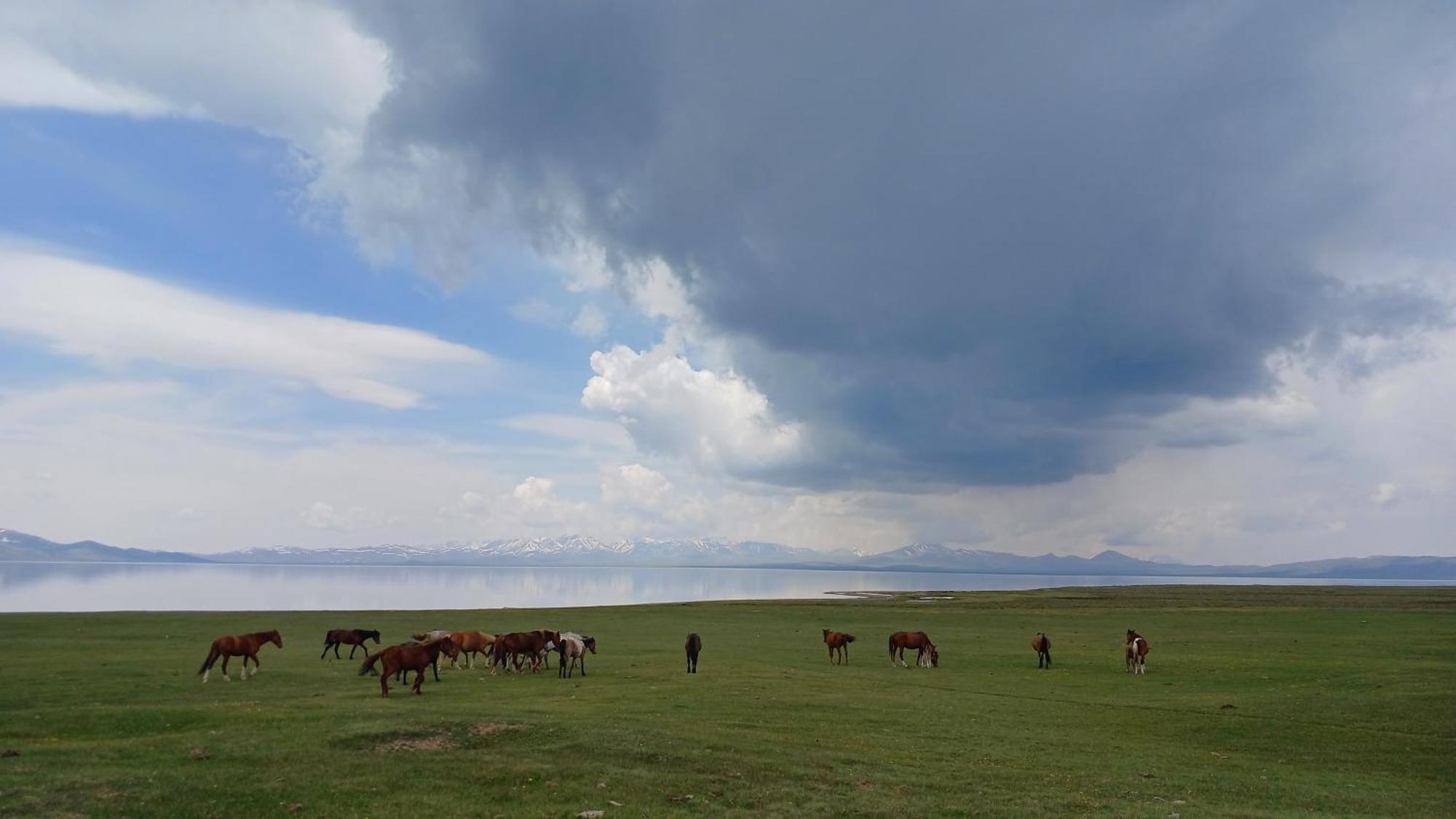 Son-Kul Lake Yurt Camp Mirbek Kochkor Exterior foto